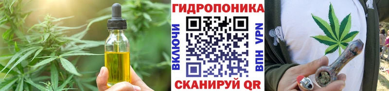 Canna-Cookies марихуана KRAKEN Чулым