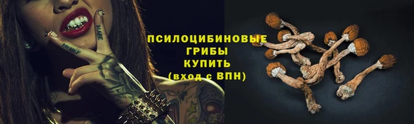 мдма Краснослободск